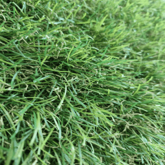 Grama Sintética 30mm Semelhante a Natural Para Piscinas Uso Interno e Externo Incomparável Qualidade